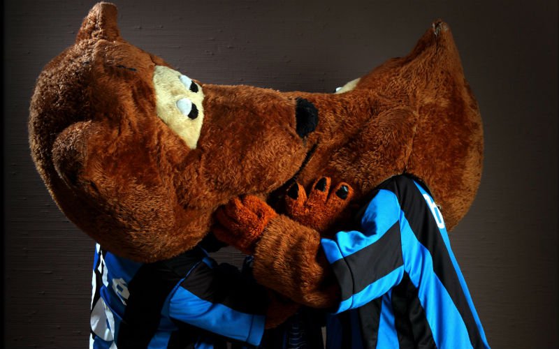 Deze foto schept duidelijkheid over 'vuile beer' Bene van Club Brugge