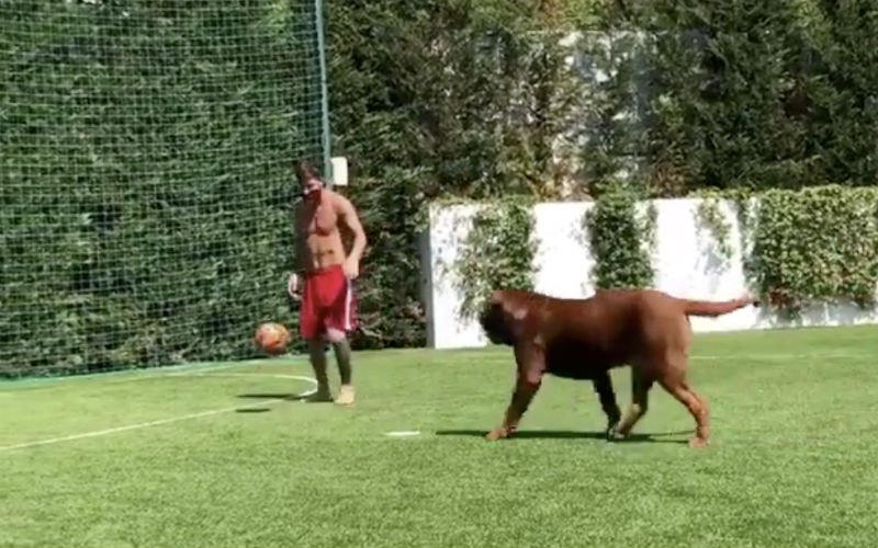 Messi speelt niet alleen tegenstanders, maar ook honden dol